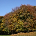 Automne au Mt-Pelerin - 029